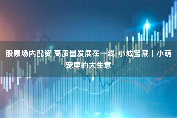 股票场内配资 高质量发展在一线·小城宝藏｜小萌宠里的大生意