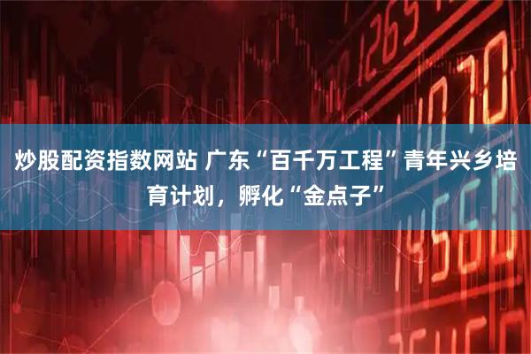 炒股配资指数网站 广东“百千万工程”青年兴乡培育计划，孵化“金点子”